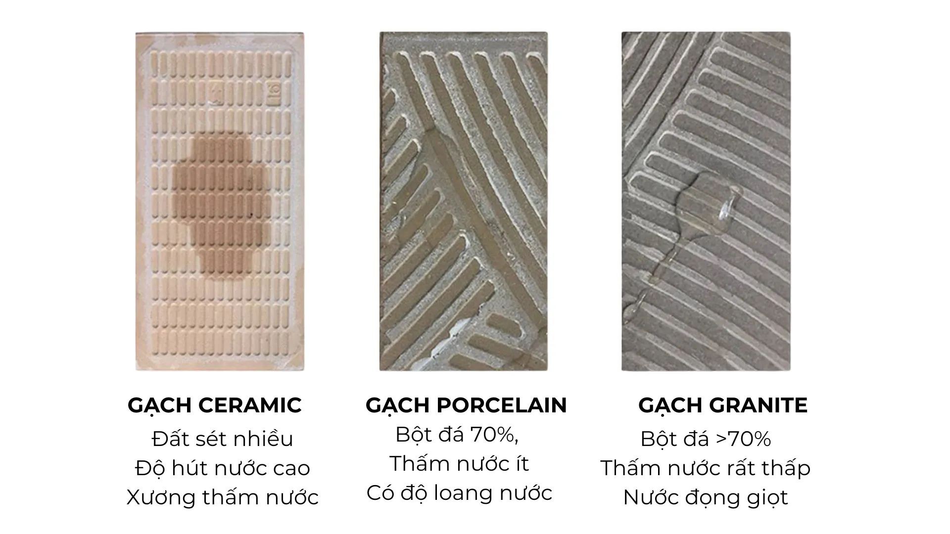 Hình ảnh so sánh độ hút nước và cấu trúc xương gạch giữa ceramic, porcelain và granite.